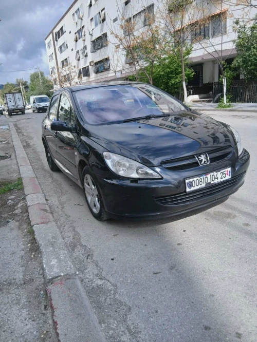 Peugeot 307 2004 