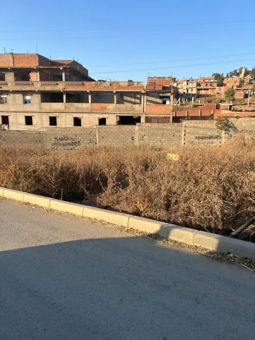 Vente Terrain Boumerdès El kharrouba