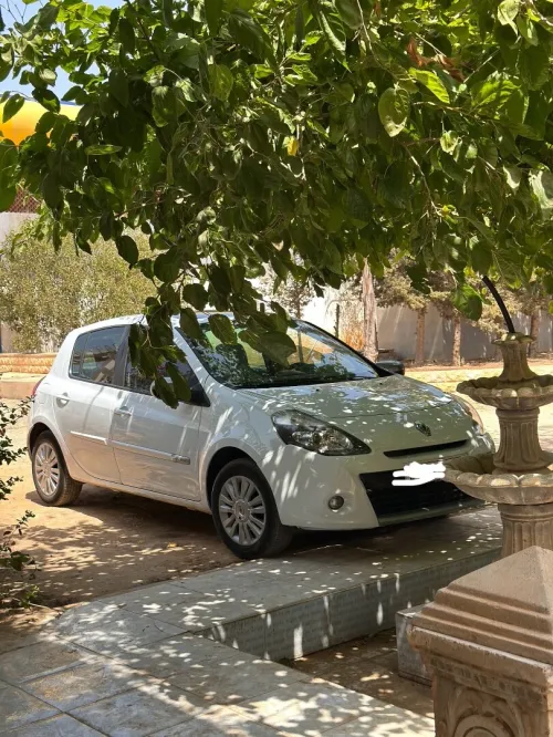 Renault Clio 3 2012 Night and Day