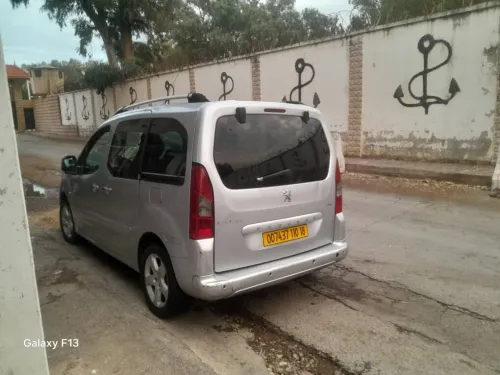 Peugeot Partner 2010 Tepee
