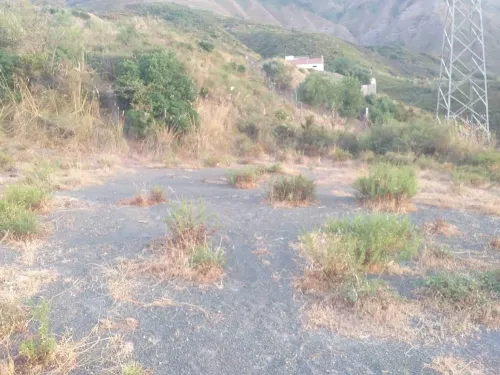 Vente Terrain Bejaia Souk el thenine