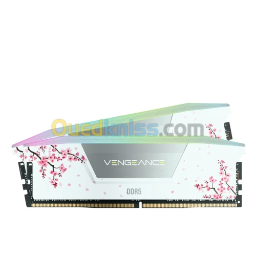CORSAIR VENGEANCE RGB 32GB (2x16GB) DDR5 6000MHz CL30  WhiteCherry Blossom INTEL XMP / AMD EXPO