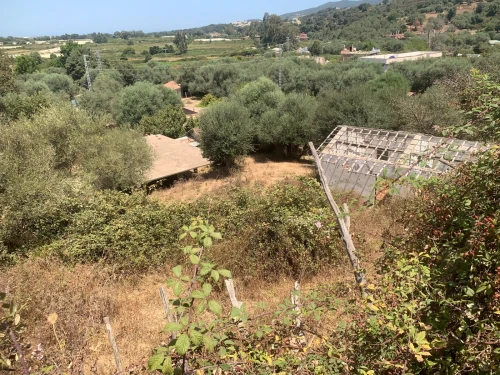 Vente Terrain Jijel Kemir oued adjoul