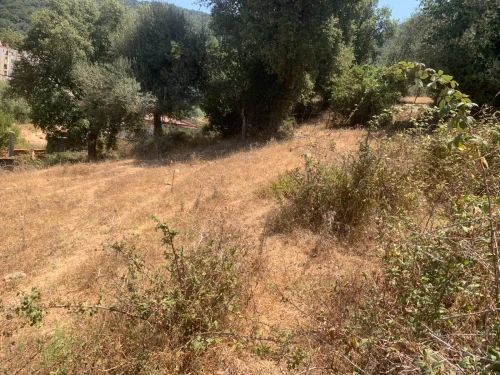 Vente Terrain Jijel Kemir oued adjoul