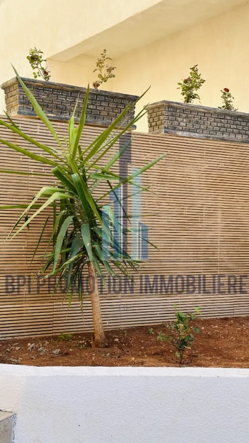 Vente Appartement F3 F4 Aïn Témouchent Ain temouchent