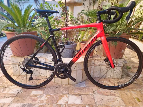 Vélo de cours specialized 
