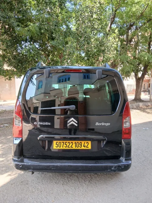 Citroen Berlingo 2009 