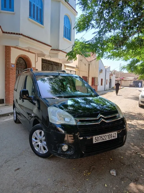 Citroen Berlingo 2009 