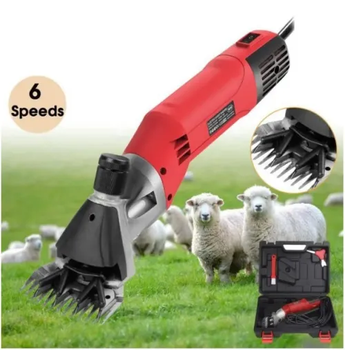 Tondeuse Électrique Professionnelle Pour Moutons