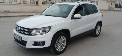 Volkswagen Tiguan 2015 Cup