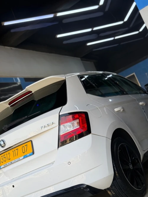Skoda Fabia 2017 Monte Carlo