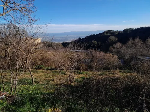 Vente Terrain Annaba Seraidi