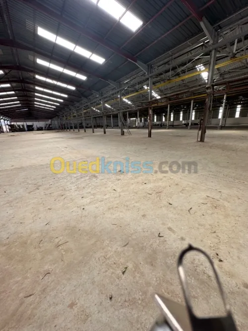Vente Terrain Blida Guerrouaou