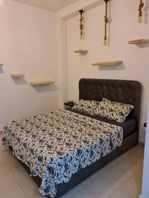 Location Appartement Studio F2 Alger Kouba