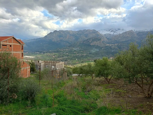 Vente Terrain Tizi Ouzou Agouni gueghrane
