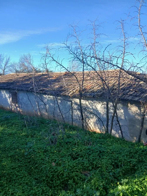 Vente bien immobilier Aïn Defla Oued chorfa