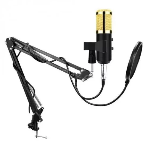 MICROPHONE PROFESSIONELLE DJ M-800U