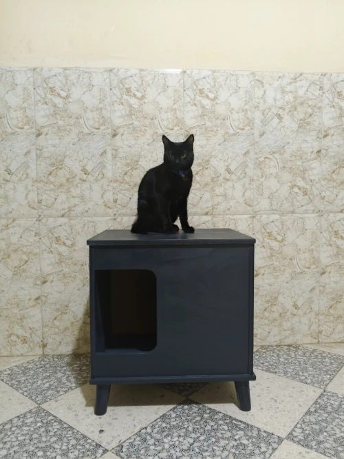 Fabrication niche chat design meuble décoratif