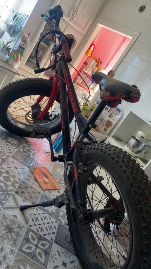 Vélos à grosse roues 