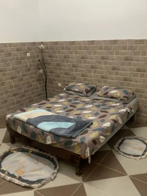 Vente Immeuble Oran Ain el turck