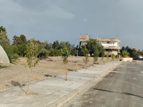 Location Terrain Blida Bouinan