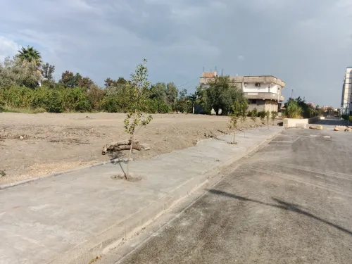 Location Terrain Blida Bouinan