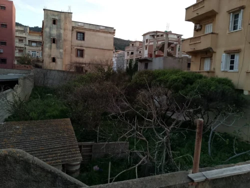 Vente Terrain Alger Hammamet