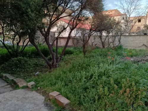 Vente Terrain Alger Hammamet