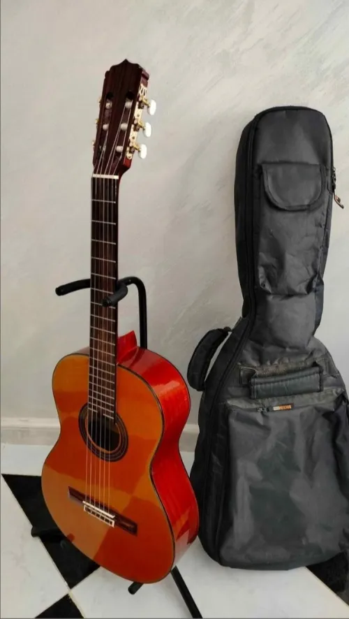 Guitare classique marque ariana hadja Top 