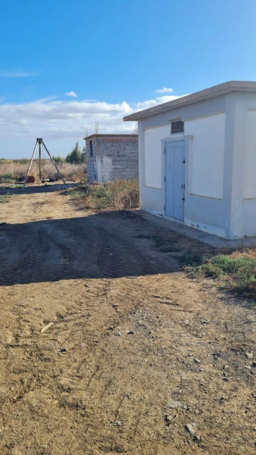 Vente Terrain Agricole Mascara Alaimia