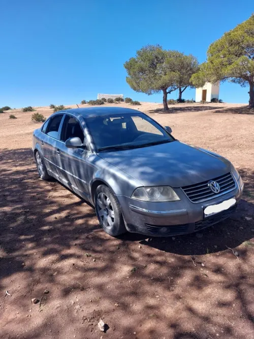 Volkswagen Passat 2005 B5.5