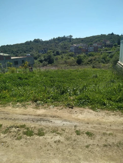 Vente Terrain Skikda Collo
