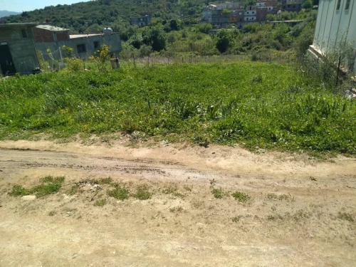 Vente Terrain Skikda Collo