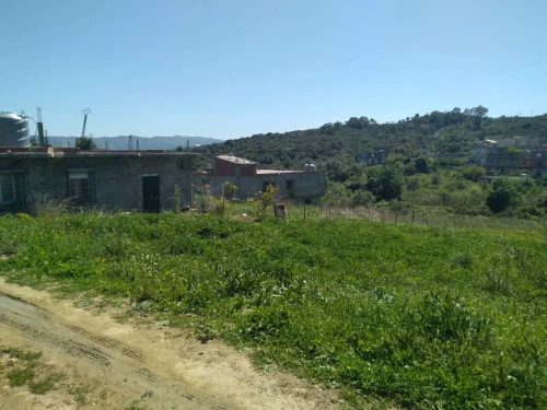Vente Terrain Skikda Collo
