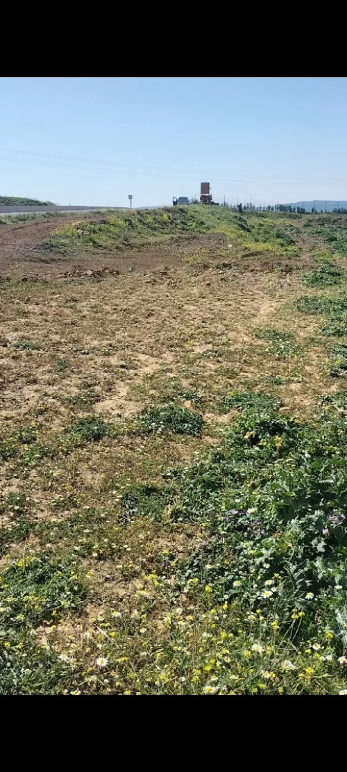 Vente Terrain Médéa Draa essamar