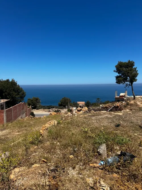Vente Terrain Tipaza Larhat