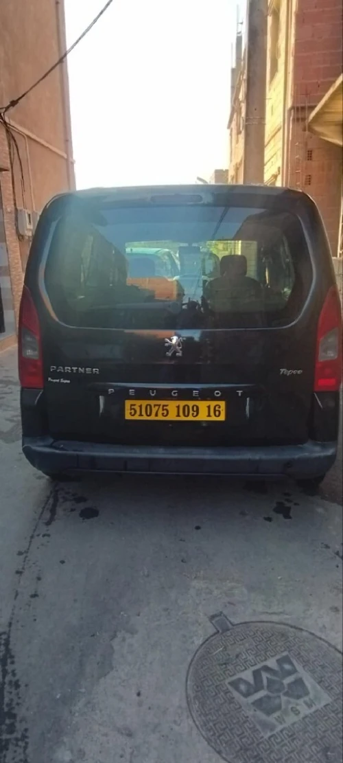 Peugeot Partner 2009 Tepee