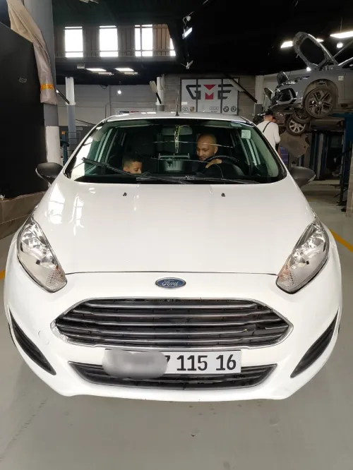 Ford Fiesta 2015 Trend Look