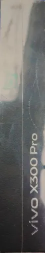 vivo x300 pro 