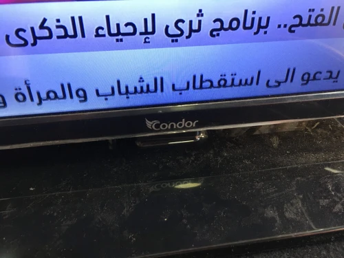TV CONDOR 24"