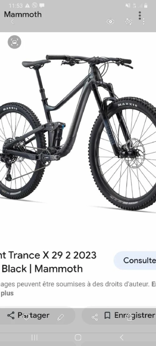 Velo giant trance 29 2