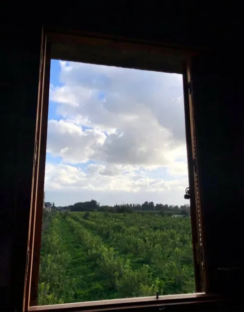 Vente Villa Blida Boufarik
