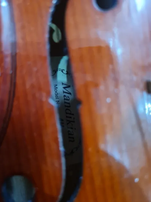 Violon