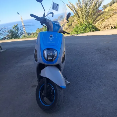 Vms Cuxi estate x 2022