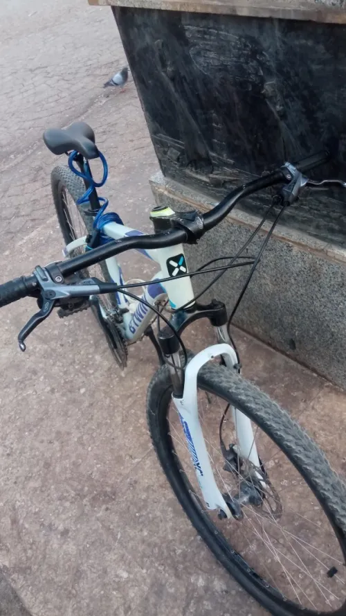 Velos