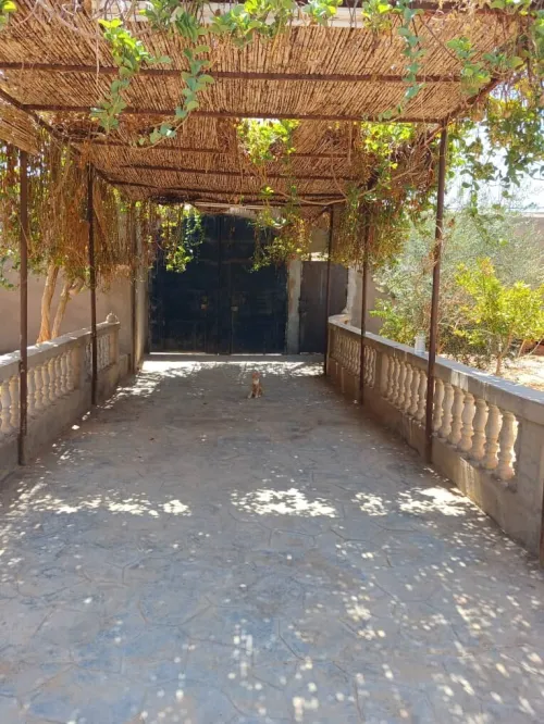 Vente Villa Ghardaïa Ghardaia
