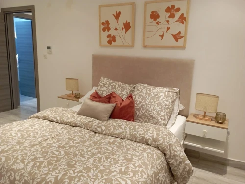 Location Appartement F2 Alger Hydra
