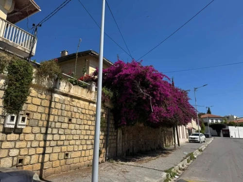 Vente Villa Alger Kouba