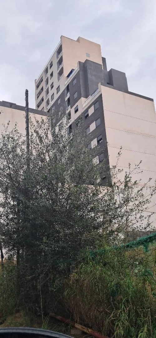Vente Terrain Alger Birkhadem