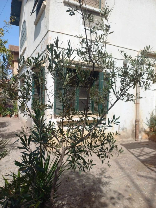 Vente Villa Alger Kouba